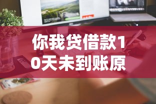 你我贷借款10天未到账原因解析