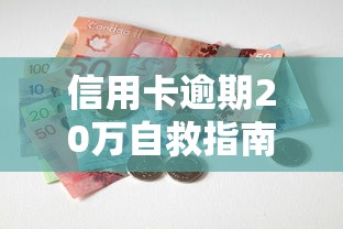 信用卡逾期20万自救指南 信用卡逾期20万自救指南