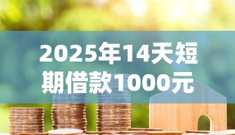 2025年14天短期借款1000元攻略