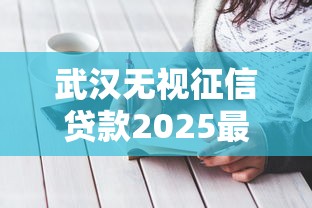 武汉无视征信贷款2025最新攻略