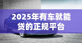 2025年有车就能贷的正规平台 2025年有车就能贷的正规平台