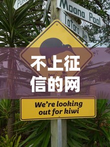 高炮口子秒拒原因解析