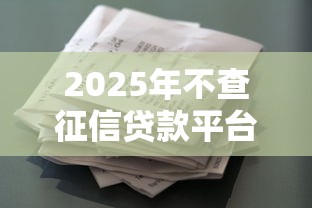 2025年不查征信贷款平台还款指南 2025年不查征信贷款平台还款指南