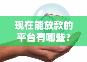 现在能放款的平台有哪些？急需正规安全的贷款渠道