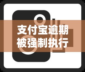 支付宝逾期被强制执行后果解析 支付宝逾期被强制执行后果解析