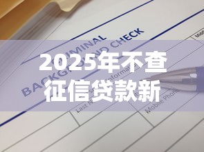 2025年不查征信贷款新口子 2025年不查征信贷款新口子