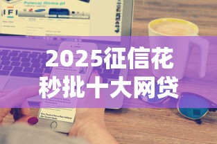 2025征信花秒批十大网贷平台
