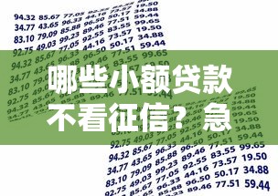 哪些小额贷款不看征信？急需不看信用评分的借款渠道