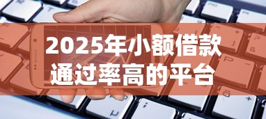 2025年小额借款通过率高的平台 2025年小额借款通过率高的平台