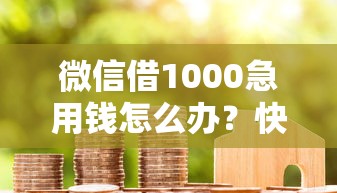 微信借1000急用钱怎么办？快速到账的小额借款渠道推荐