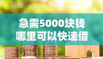 急需5000块钱哪里可以快速借到？急需5000元小额借款正规渠道推荐