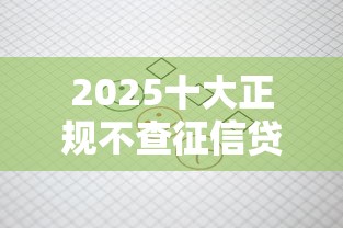 2025十大正规不查征信贷款平台