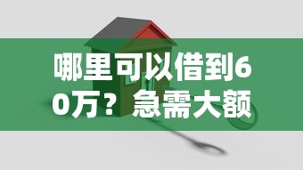 哪里可以借到60万？急需大额低息贷款解决方案