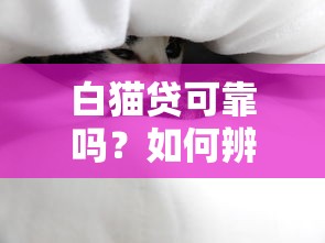 白猫贷可靠吗？如何辨别正规贷款平台避免被骗