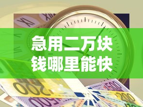 急用二万块钱哪里能快速借到 急用二万块钱哪里能快速借到