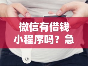 微信有借钱小程序吗？急需安全可靠的微信借款平台推荐