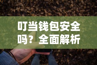 叮当钱包安全吗？全面解析叮当钱包安全性及使用技巧