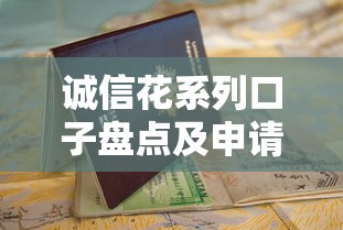 诚信花系列口子盘点及申请指南