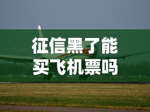 征信黑了能买飞机票吗限制详解