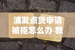 浦发点贷申请被拒怎么办 教你三招提高通过率的实用技巧