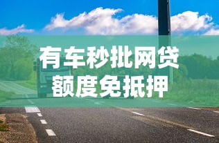 有车秒批网贷额度免抵押