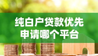 纯白户贷款优先申请哪个平台 纯白户贷款优先申请哪个平台
