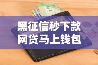 黑征信秒下款网贷马上钱包急用