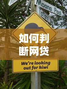如何判断网贷是否不上征信