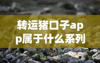 转运猪口子app属于什么系列