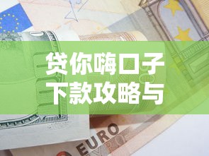 贷你嗨口子下款攻略与技巧