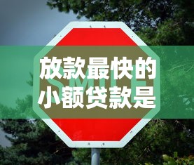 放款最快的小额贷款是什么意思