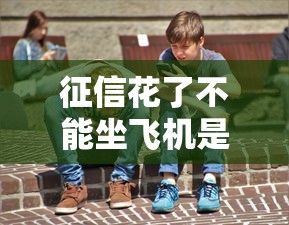 征信花了不能坐飞机是真的吗