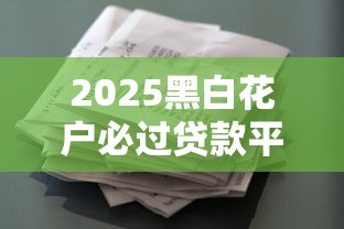 2025黑白花户必过贷款平台推荐