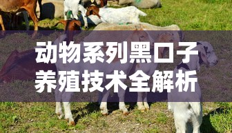 动物系列黑口子养殖技术全解析