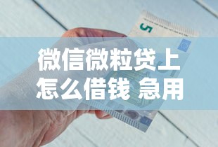 微信微粒贷上怎么借钱 急用钱快速到账的操作流程