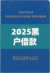 2025黑户借款平台快速下款指南