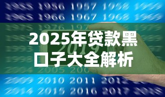 2025年贷款黑口子大全解析