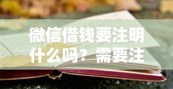 微信借钱要注明什么吗？需要注意哪些法律风险和保护措施