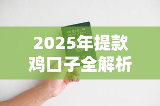 2025年提款鸡口子全解析