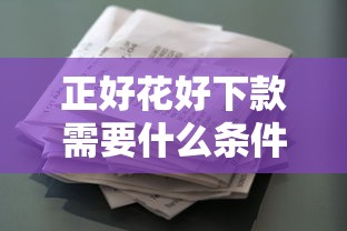 正好花好下款需要什么条件？快速审批低息贷款攻略