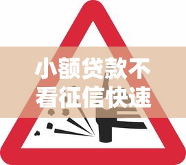 小额贷款不看征信快速放款