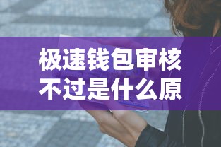 极速钱包审核不过是什么原因 如何快速通过审核提升借款成功率