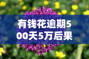 有哪些网上贷款平台可靠2025年秒下款的能选择的确实挺多！本篇细致枚举这5个黑户借款平台！_1