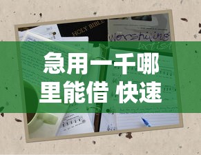 急用一千哪里能借 快速借款平台推荐 急用一千哪里能借 快速借款平台推荐