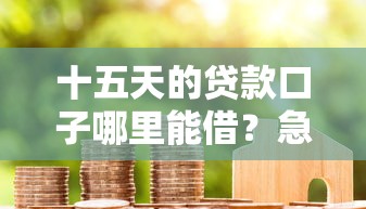 十五天的贷款口子哪里能借？急需短期周转安全放款平台推荐