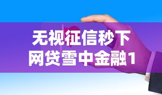 无视征信秒下网贷雪中金融100%放款