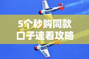 5个秒购同款口子速看攻略
