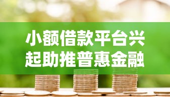 小额借款平台兴起助推普惠金融发展