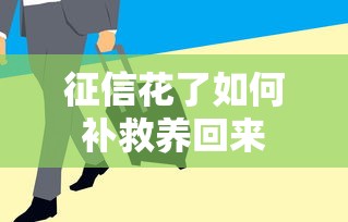 征信花了如何补救养回来