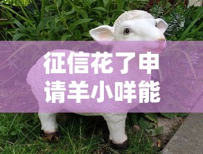 征信花了申请羊小咩能通过吗
